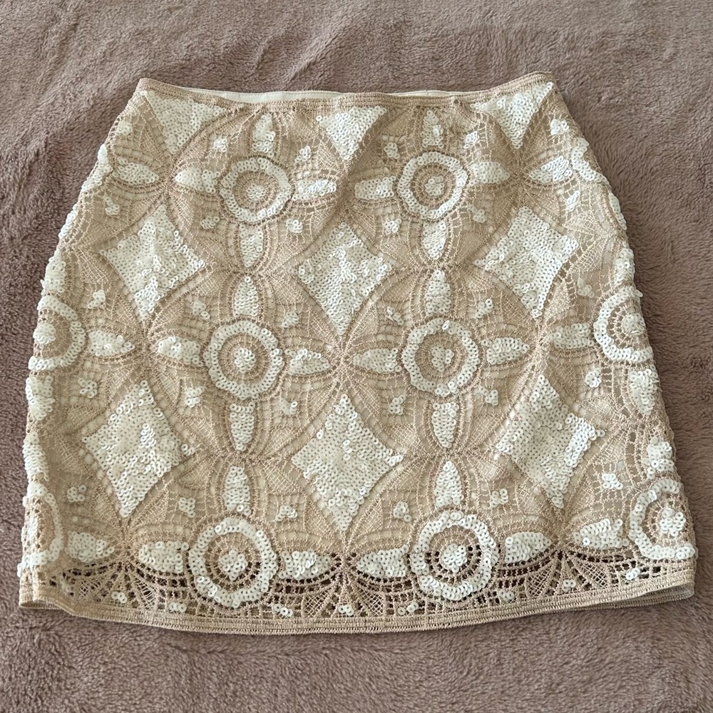 Express skirt